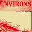 Cover Environs