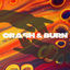 Cover Crash & Burn