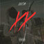 Cover XX