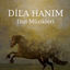 Cover Dila Hanım (Orijinal Dizi Müzikleri)