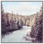 Cover Snowflake (Radio Edit)
