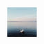 Cover Swan Lake