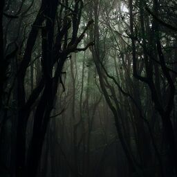 ''