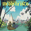 Cover Meddenfirth