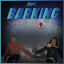 Cover Barking