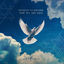 Cover Now We Are Free
