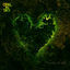 Cover Empathy, The Gift