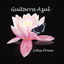 Cover Lotus Flower