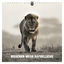 Cover Bisschen mehr Rapbellions