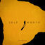 Cover Self Worth