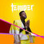 Cover Temper