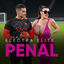 Cover Penal