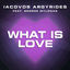 Cover What Is Love