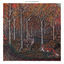 Cover Ye Vagabonds