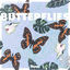 Cover Butterflies