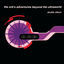 Cover Adventures Beyond The Ultraworld