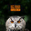 Cover I Like it