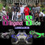 Cover Slingshot Slide Linedance
