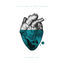 Cover Synergy EP