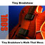 Cover Tiny Bradshaw's Walk That Mess