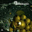 Cover Crazy Labs