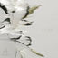 Cover Lilies
