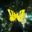 Cover Wald