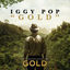 Cover Gold (From The Original Motion Picture Soundtrack "Gold")