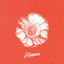 Cover Happier