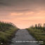 Cover Where Do We Go From Here