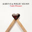 Cover Under Pressure