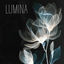 Cover Lumina
