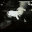 Cover MILLION DOLLAR BABY