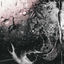 Cover Mindscapes