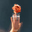 Cover Slow