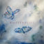 Cover Butterflies