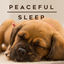 Cover Peaceful Sleep