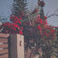 Cover Sweetly