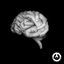 Cover Brain Crackin