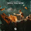Cover Need You Now