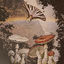 Cover Ailanthus