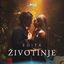 Cover Zivotinje