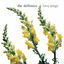 Cover Love Songs
