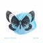 Cover Butterfly
