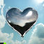 Cover First Love