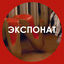 Cover Экспонат