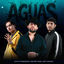 Cover Aguas