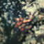 Cover Obscured by Clouds