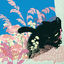 Cover Jigoo (Radio Edit)