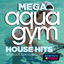 Cover Mega Aqua Gym House Hits Workout Compilation